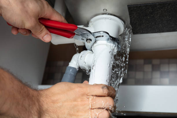 Best Water damage cleanup near me  in Oakbrook Terrace, IL