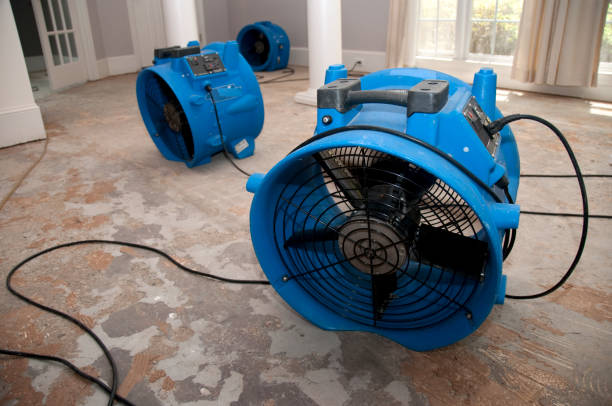Best Fire Damage Restoration  in Oakbrook Terrace, IL