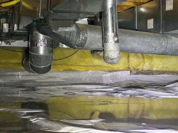 Best Water damage contractors near me  in Oakbrook Terrace, IL