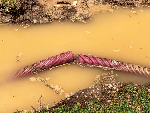 Best Mold removal after water damage  in Oakbrook Terrace, IL