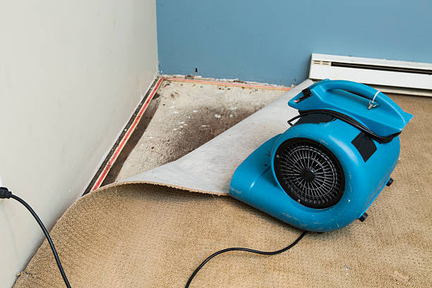 Best Emergency water damage restoration  in Oakbrook Terrace, IL
